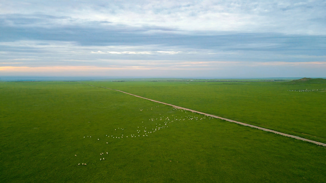 It Doesn't Do What It Says On The Tin