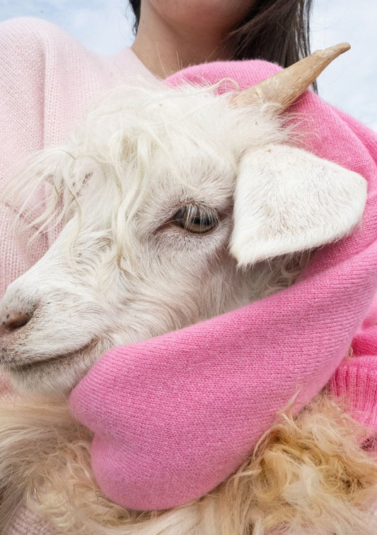 From Bee&Sons to Baker Miller Pink