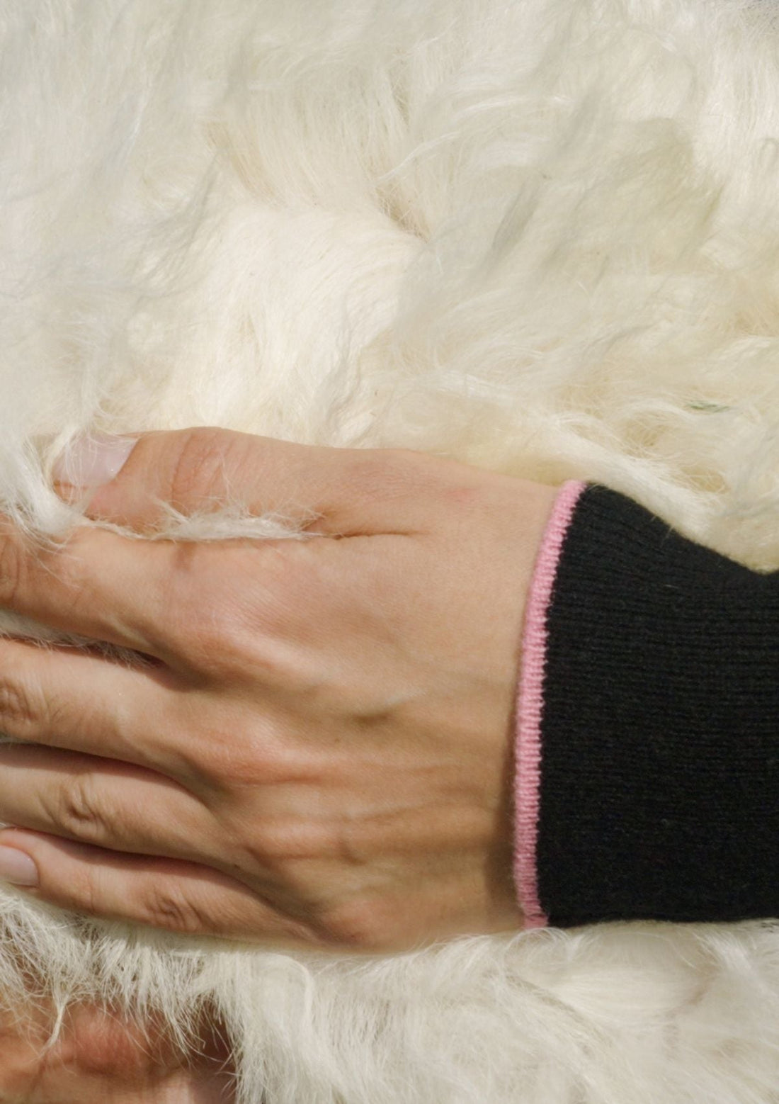 Cashmere: Who’s right?