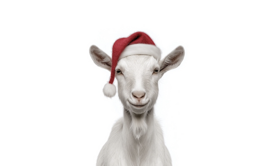 Goat with Christmas Hat On