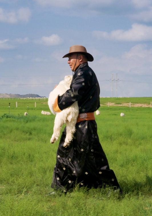 Becoming Baker Miller Pink