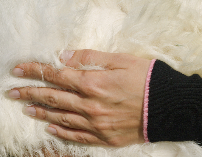Grade A Cashmere Makes BMPink Different