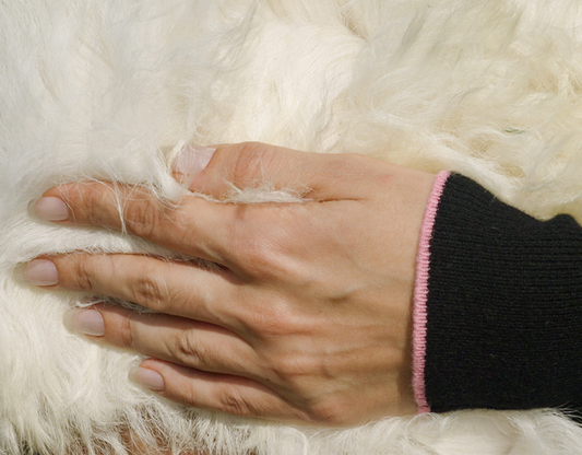 Grade A Cashmere Makes BMPink Different